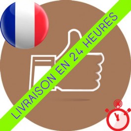 Likes Français Instagram (Basse qualité & Livraison standard)