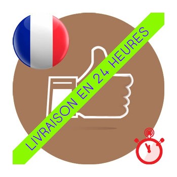 Likes Français Instagram (basse qualité : identique à nos concurrents)