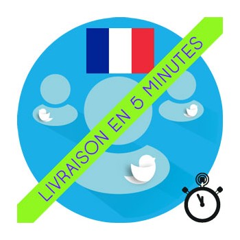 Followers Twitter réels français (France)