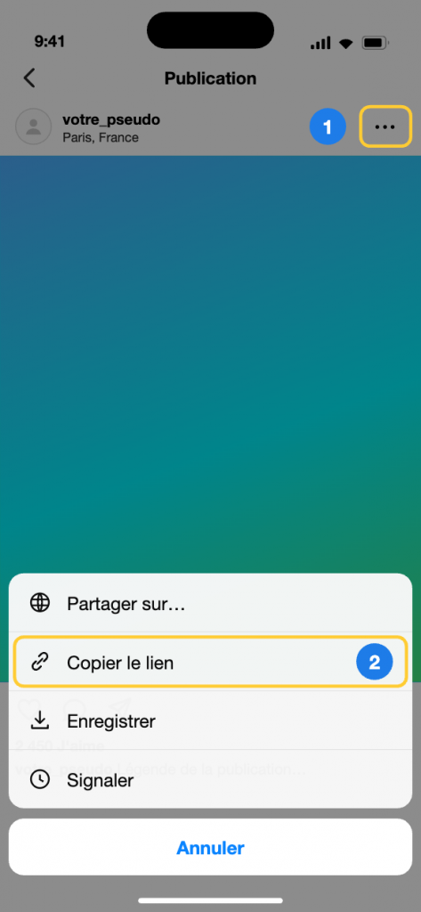 Menu de partage Instagram sur iPhone avec l'option Copier le lien surlignée